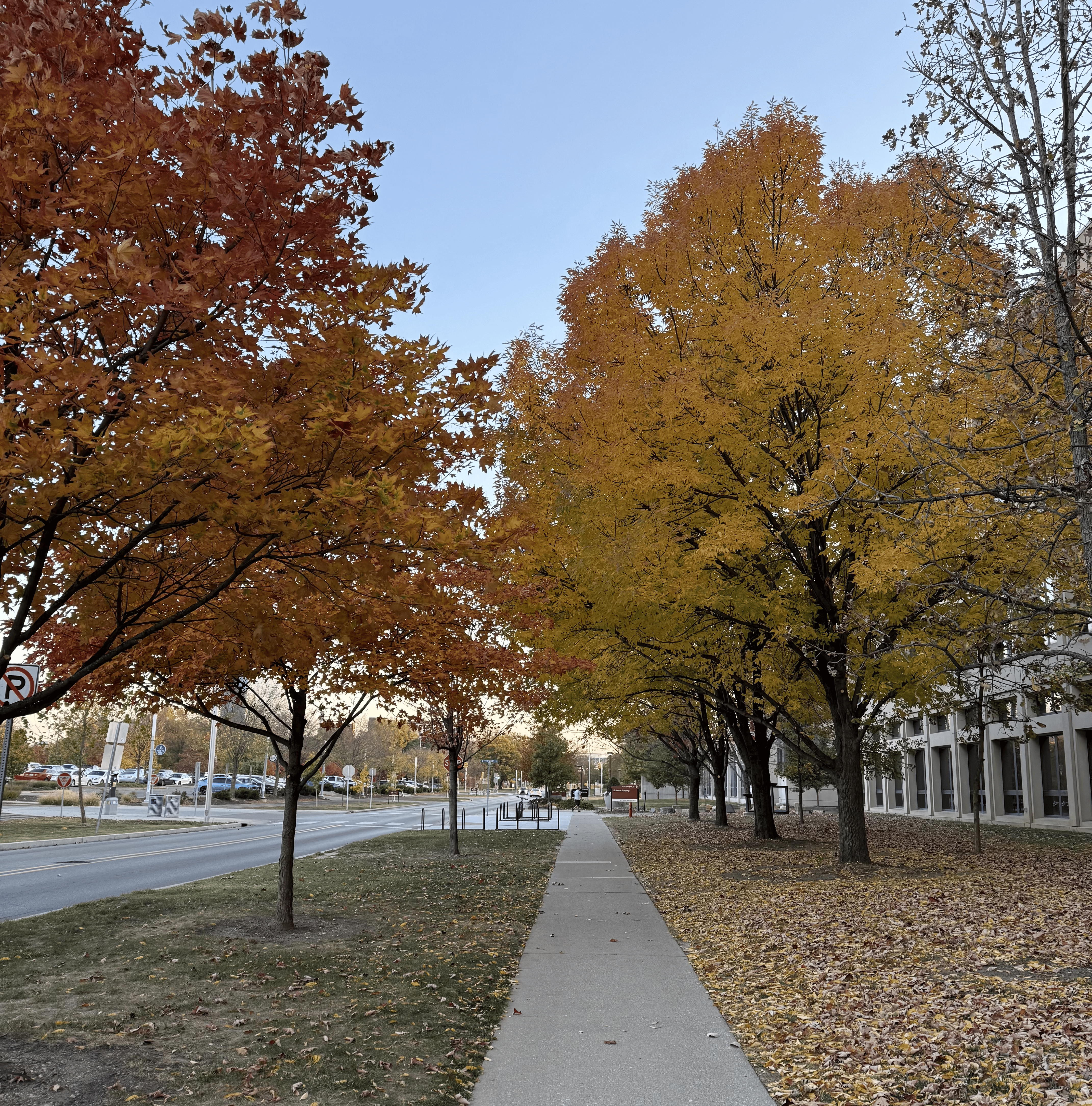 grad school, IU Indianapolis, photo 4