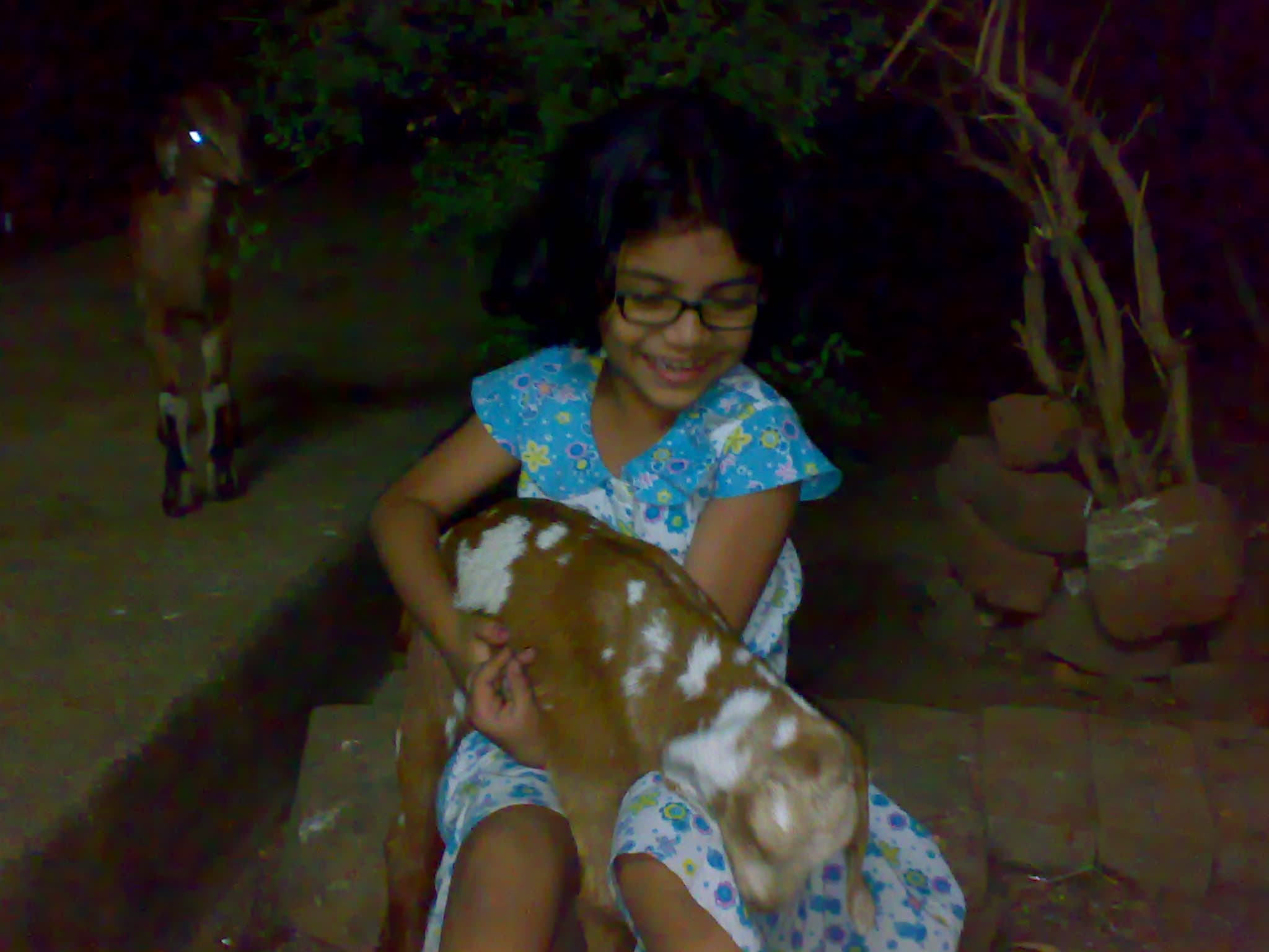 mini me, photo 4